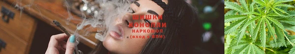 ГАЛЛЮЦИНОГЕННЫЕ ГРИБЫ Балабаново