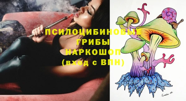 ГАЛЛЮЦИНОГЕННЫЕ ГРИБЫ Балабаново