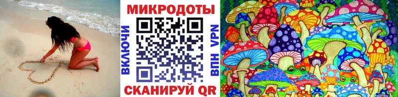 Галлюциногенные грибы Psilocybine cubensis купить наркотик Кашин